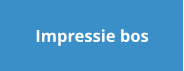 Impressie bos